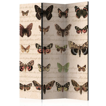 Paravent - Retro Style: Butterflies Artgeist