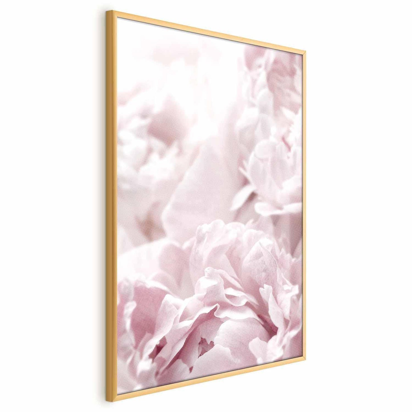 Poster - Fluffy Peonies