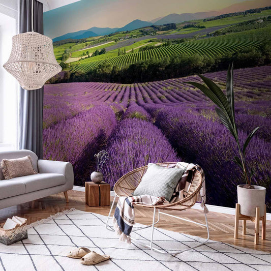 Fototapete Lavendelfeld – Ruhige Naturkulisse in Violetttönen