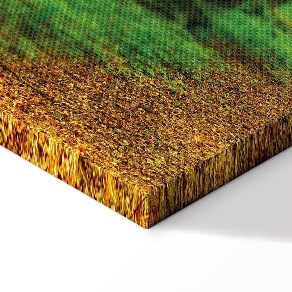 Leinwandbild - Magic Forest