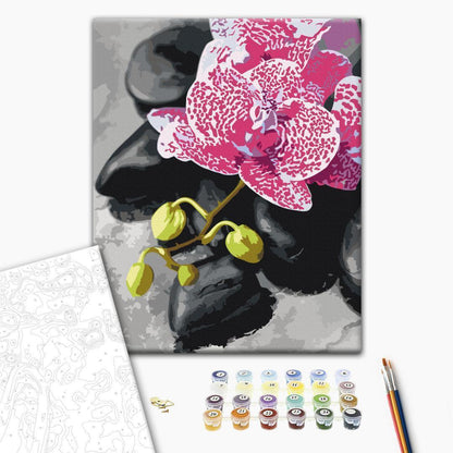 Malen nach Zahlen - Pink Orchid