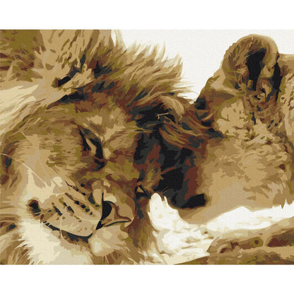 Malen nach Zahlen - Cold Owl