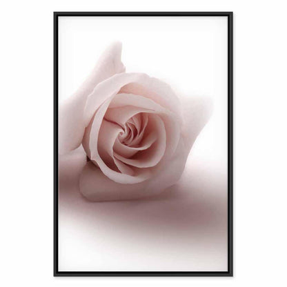 Leinwandbild - Floral Glamour Glow (1-part) - Delicate and Pastel Pink Rose