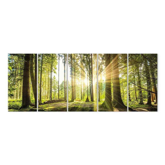 Leinwandbild - Sunlight