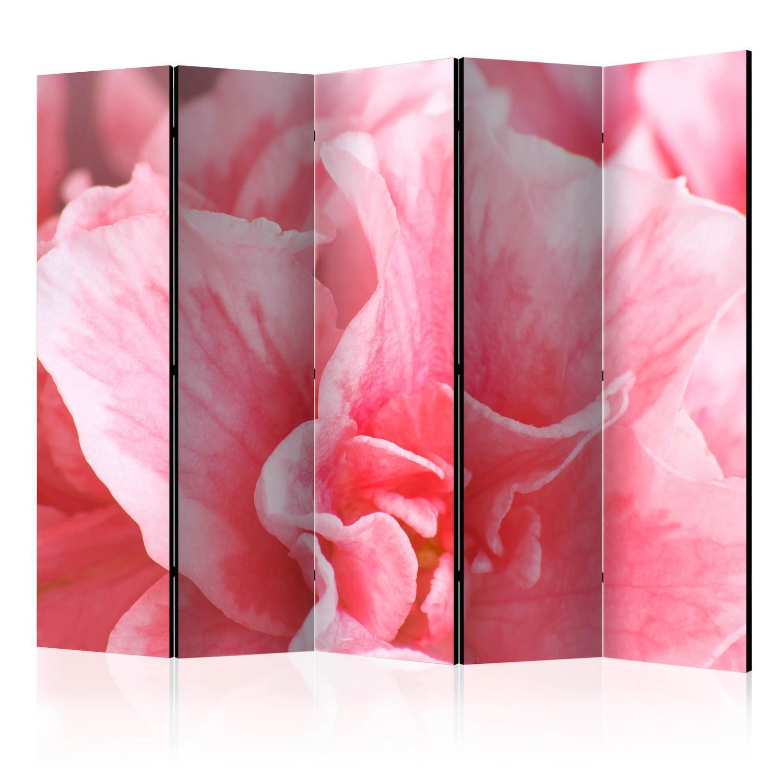 Paravent - Pink azalea flowers II Artgeist