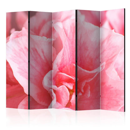 Paravent - Pink azalea flowers II Artgeist