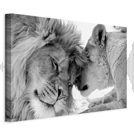 Leinwandbild - Lion's Love