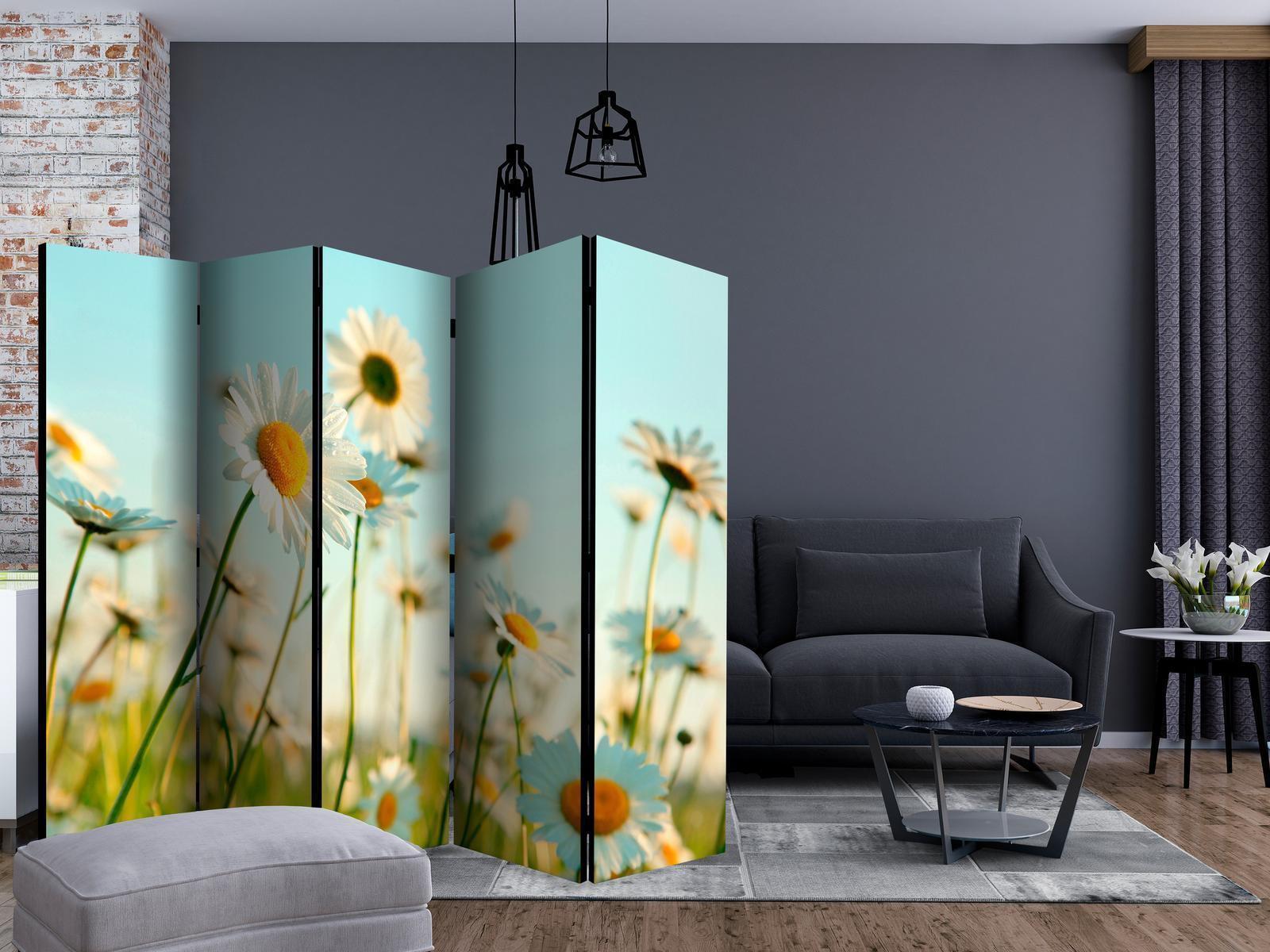 Paravent - Daisies - spring meadow II Artgeist