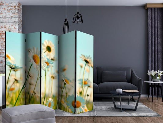 Paravent - Daisies - spring meadow II Artgeist