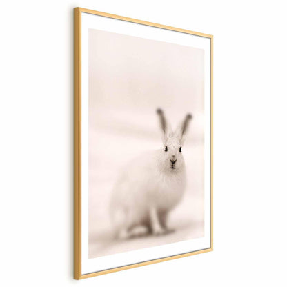 Poster - Fearful Look