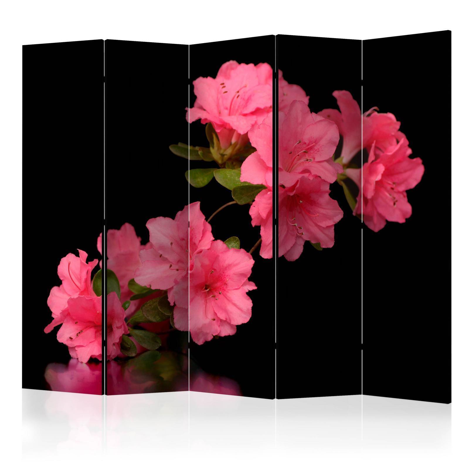 Paravent - Azalea in Black II Artgeist