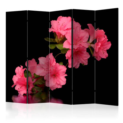 Paravent - Azalea in Black II Artgeist