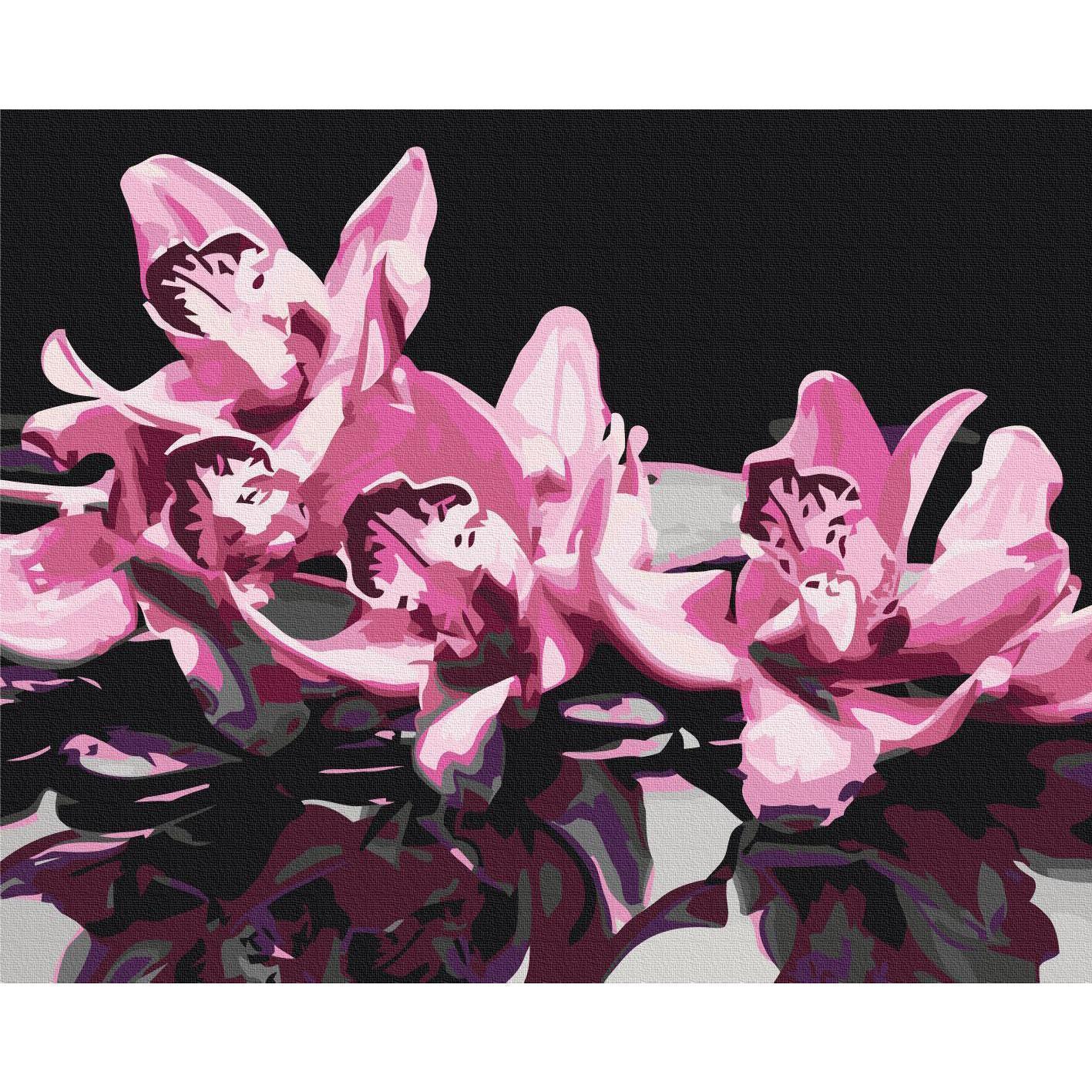 Malen nach Zahlen - Pink Orchid (Black Background)
