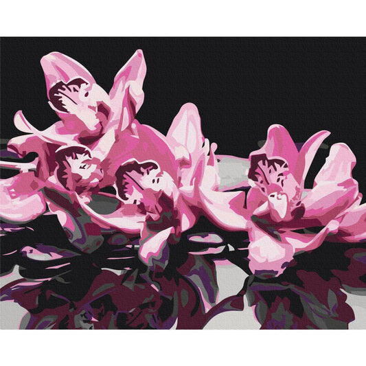 Malen nach Zahlen - Pink Orchid (Black Background)