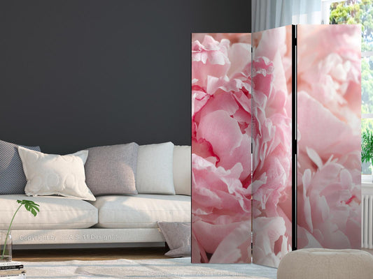 Paravent - Sweet Peonies Artgeist