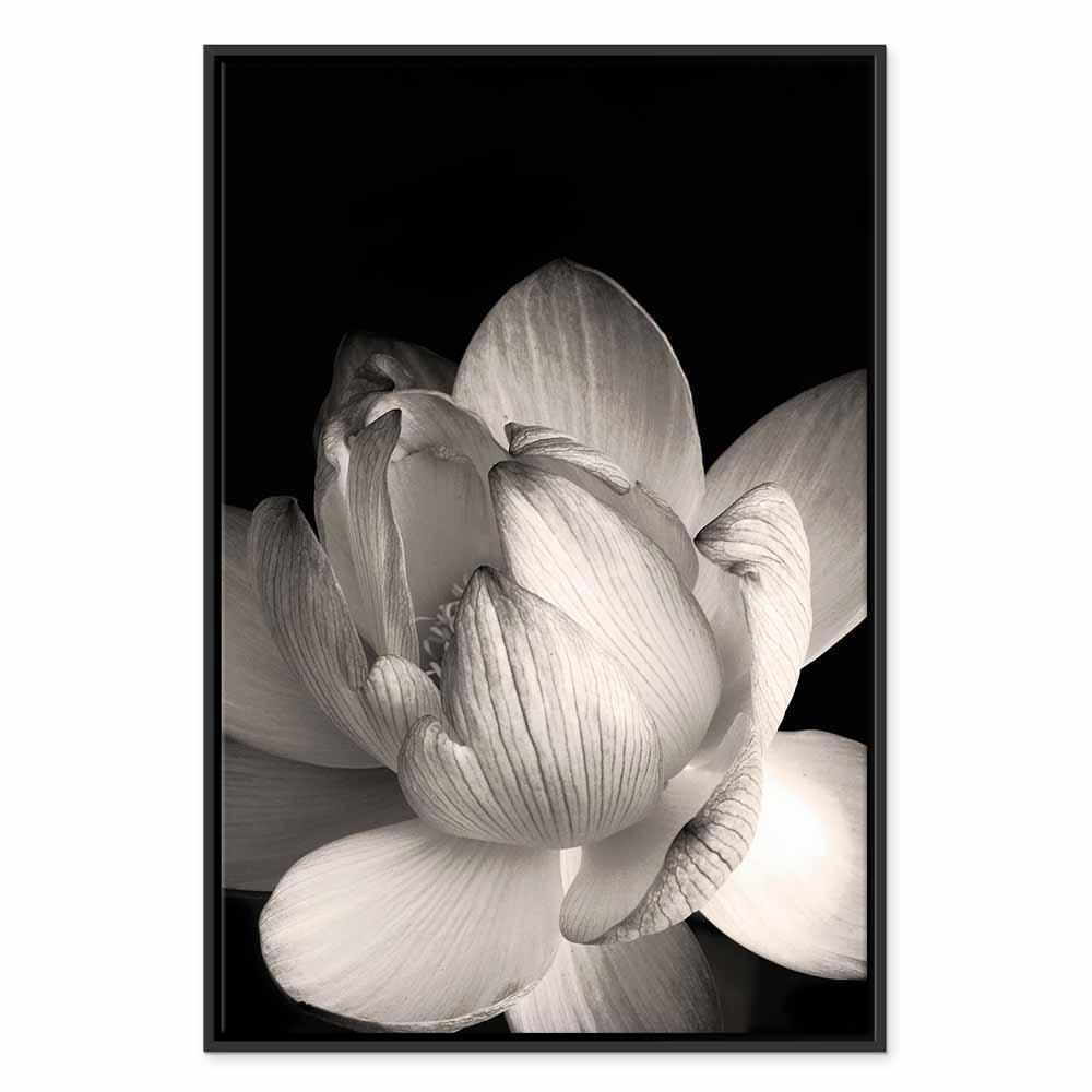 Leinwandbild - Delicacy of Petals in Nature (1-part) - Flower in Black and White