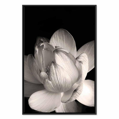 Leinwandbild - Delicacy of Petals in Nature (1-part) - Flower in Black and White