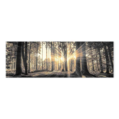 Leinwandbild - Forest Sun