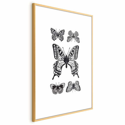 Poster - Five Butterflies Artgeist