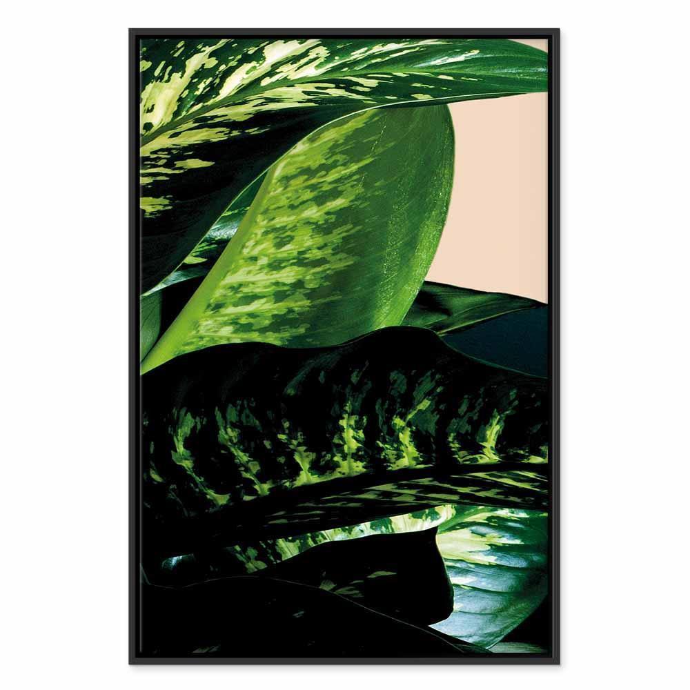 Leinwandbild - Dieffenbachia (1 Part) Vertical