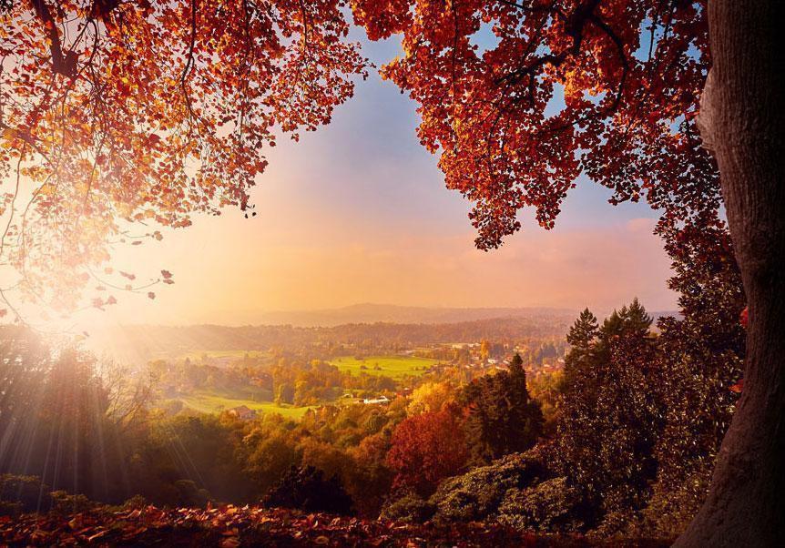 Fototapete - Autumn delight - sunny landscape with countryside surrounded by trees and fields Artgeist