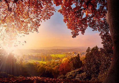 Fototapete - Autumn delight - sunny landscape with countryside surrounded by trees and fields Artgeist