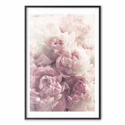 Poster - Delicate Peonies