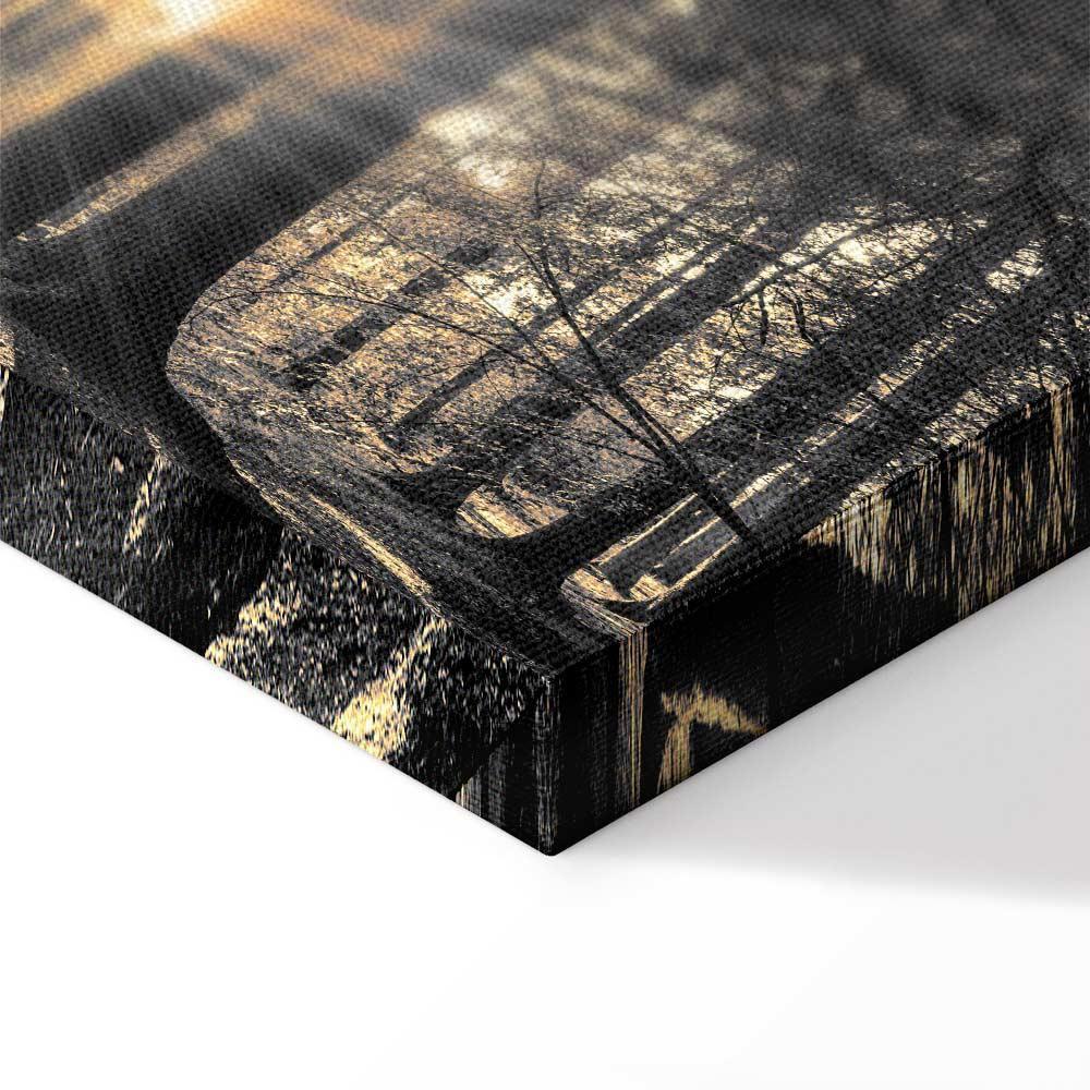 Leinwandbild - Forest Sun