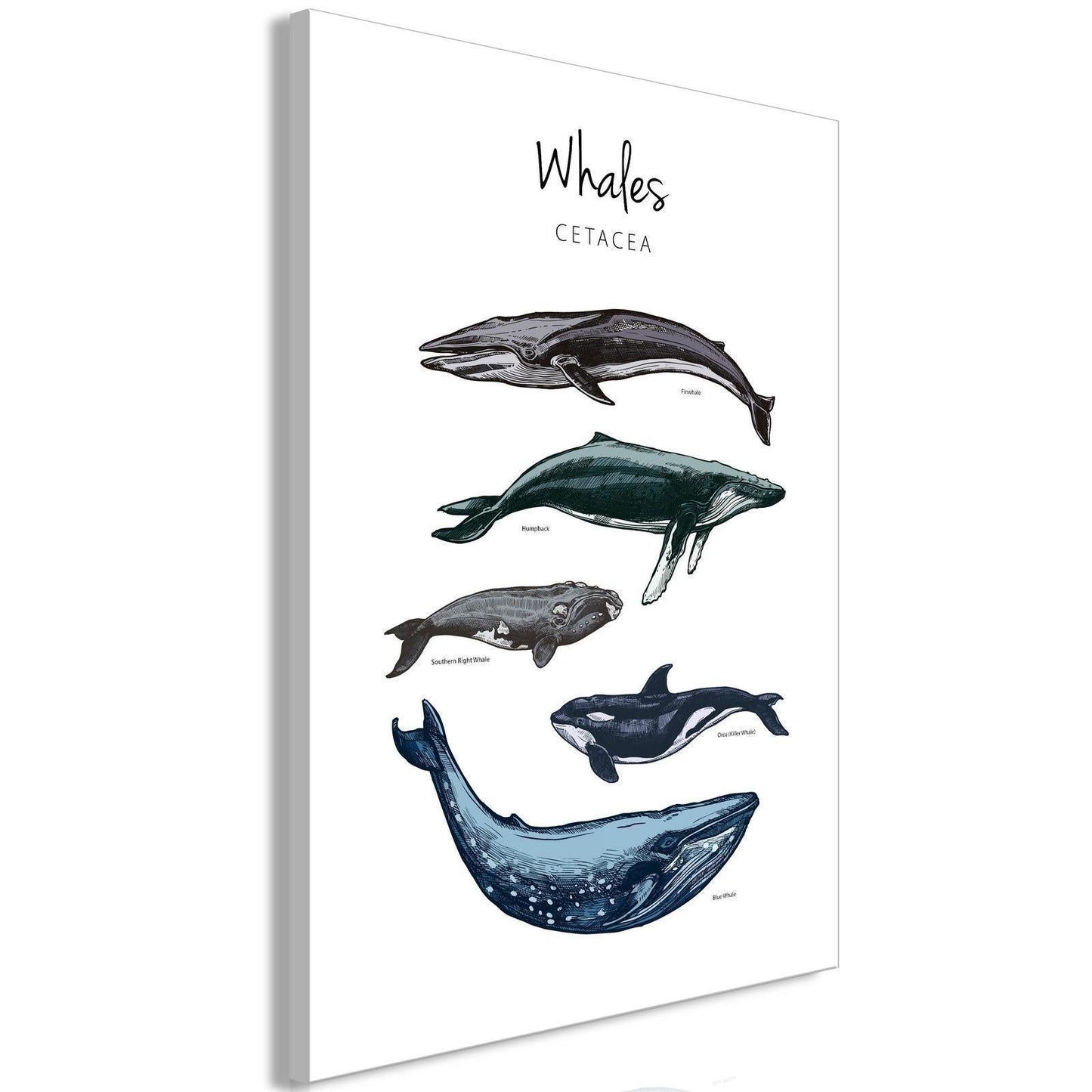 Leinwandbild - Whales (1 Part) Vertical Artgeist