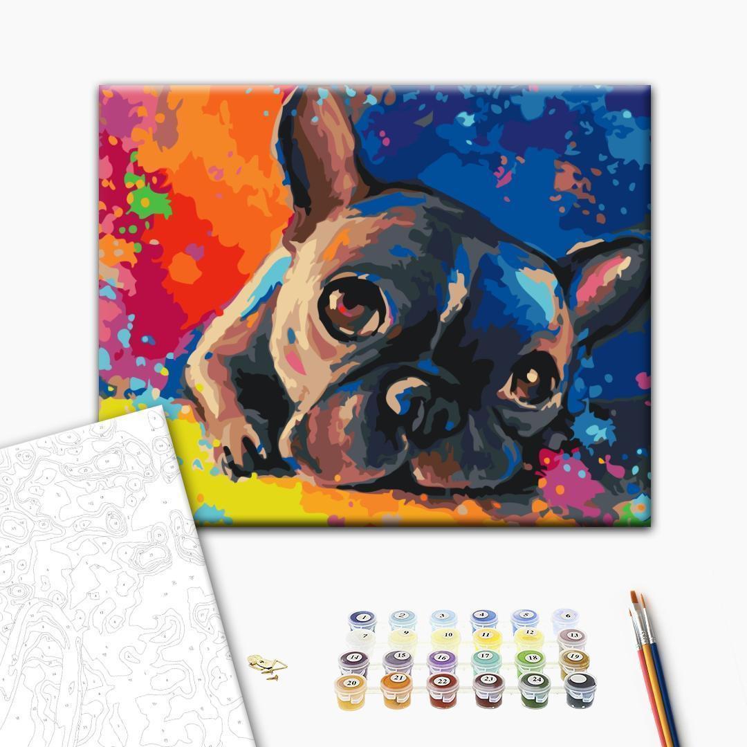 Malen nach Zahlen - Colourful French bulldog