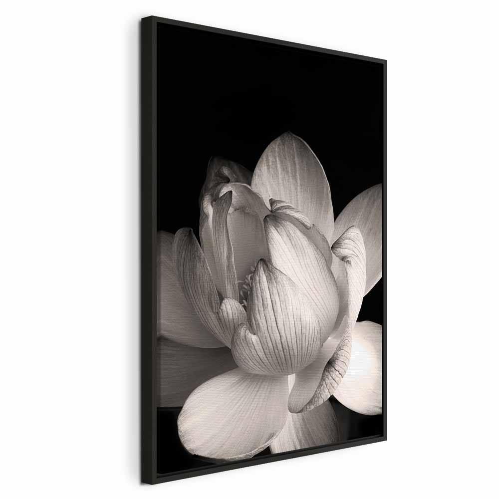Leinwandbild - Delicacy of Petals in Nature (1-part) - Flower in Black and White