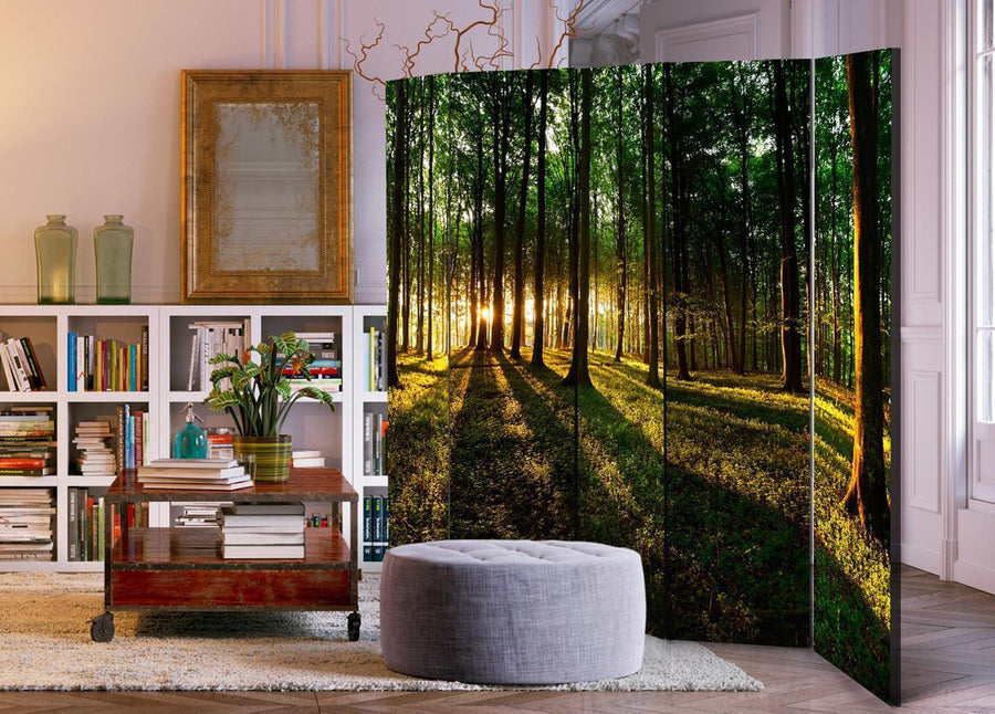 Paravent - Morning in the Forest II Artgeist