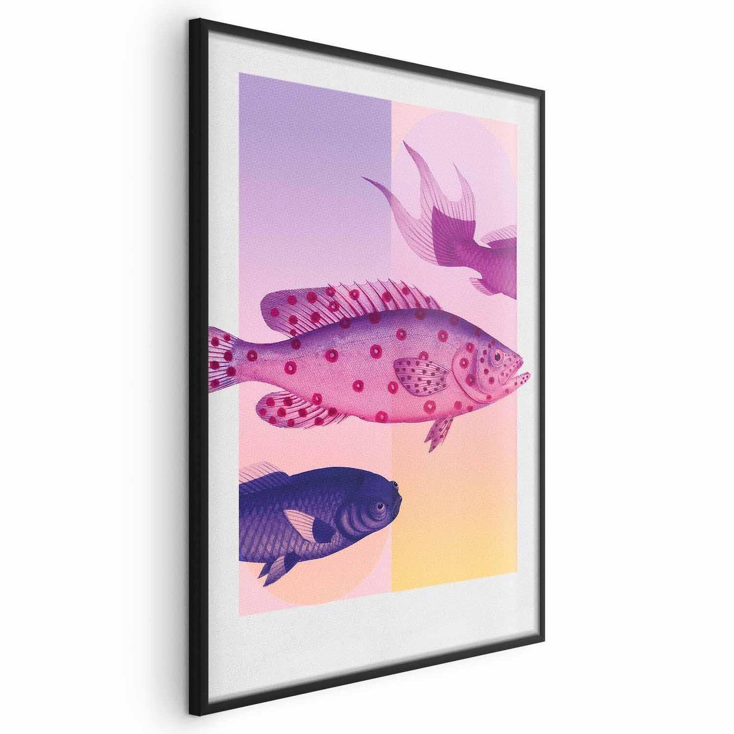 Poster - Fantastic Fish - artistic illustration of fish on a colorful background Artgeist
