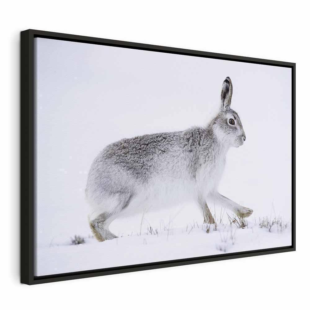 Leinwandbild - Hare (1 Part) Wide