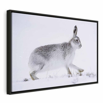 Leinwandbild - Hare (1 Part) Wide