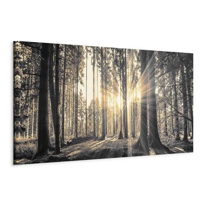 Leinwandbild - Forest Sun Artgeist