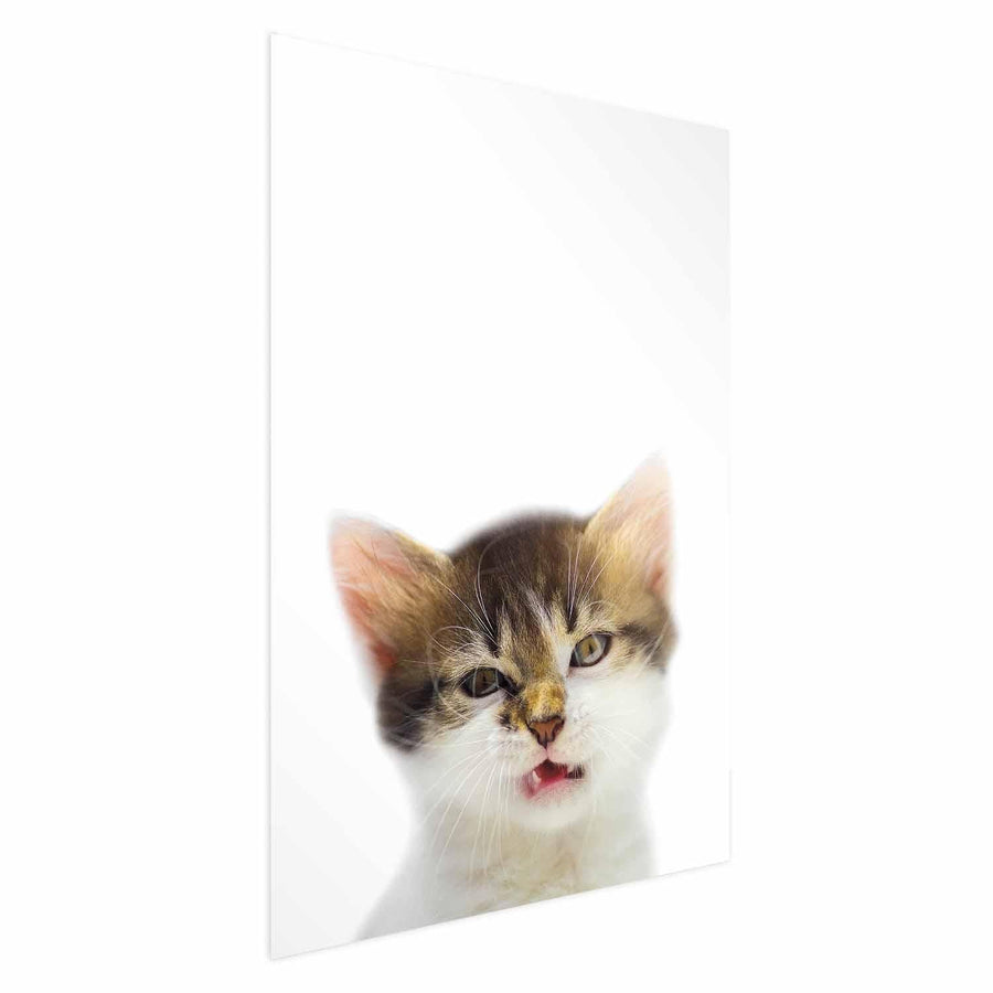 Poster - Annoyed Cat Artgeist