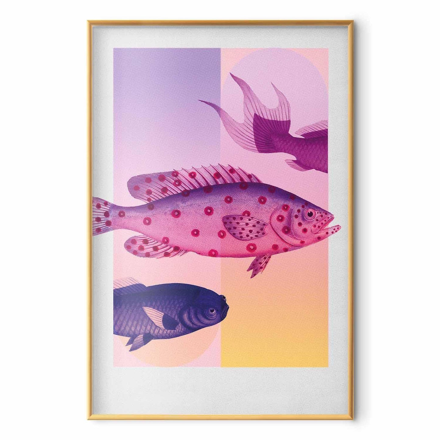 Poster - Fantastic Fish - artistic illustration of fish on a colorful background