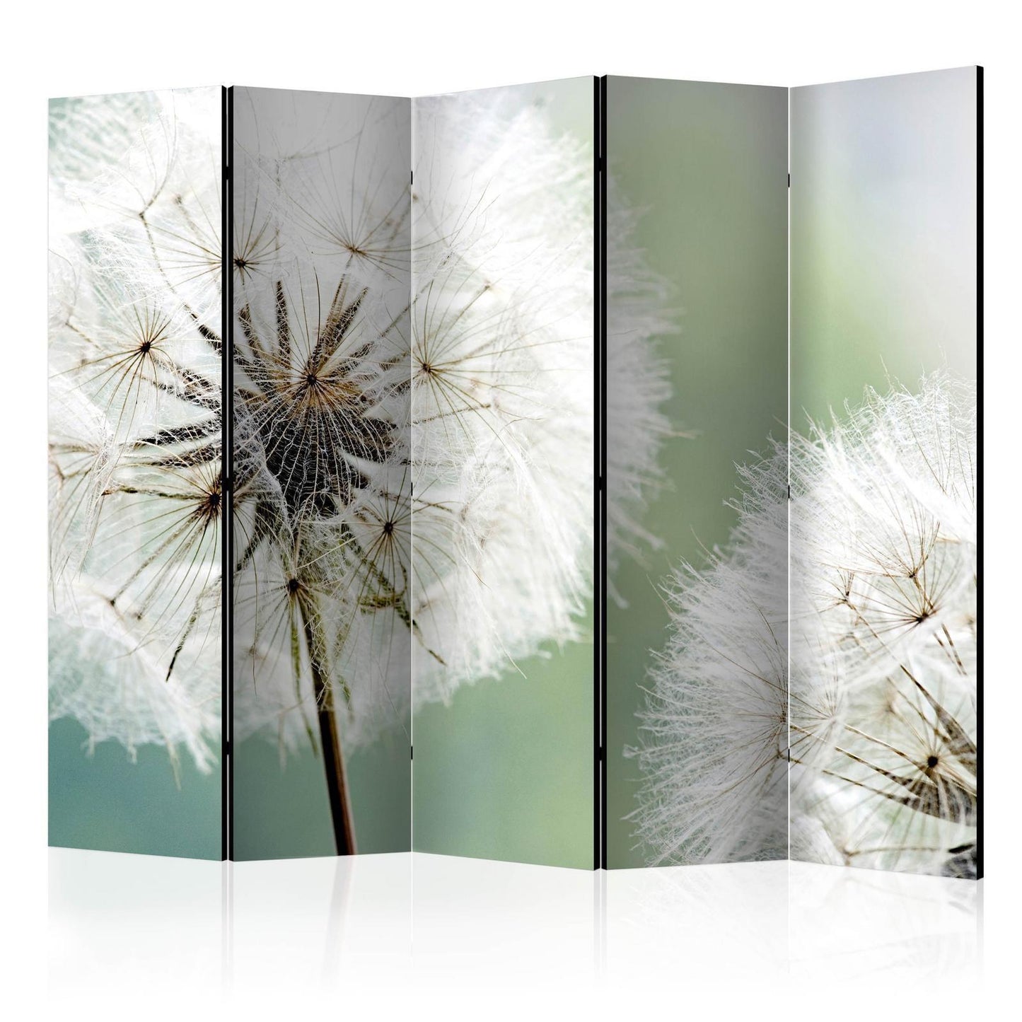 Dandelions II Paravent 