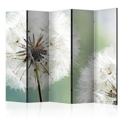 Dandelions II Paravent 