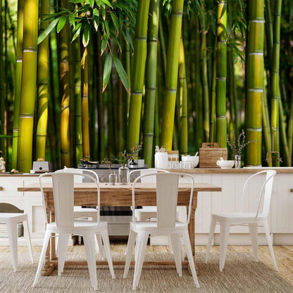 Fototapete Bambushain – Grüner Waldweg in sattem Grünton