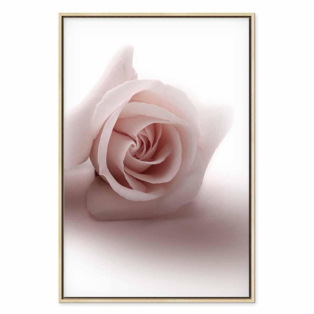 Leinwandbild - Floral Glamour Glow (1-part) - Delicate and Pastel Pink Rose