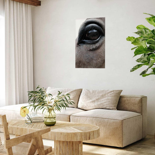 Poster - Honest Eyes Artgeist