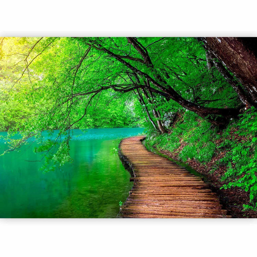 Fototapete „Grüner Frieden“ – Naturtapete mit Wald und Nebel