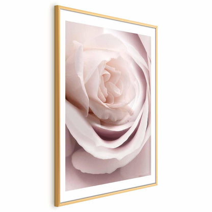 Poster Porzellan-Rose – Zarte Eleganz in Rosé