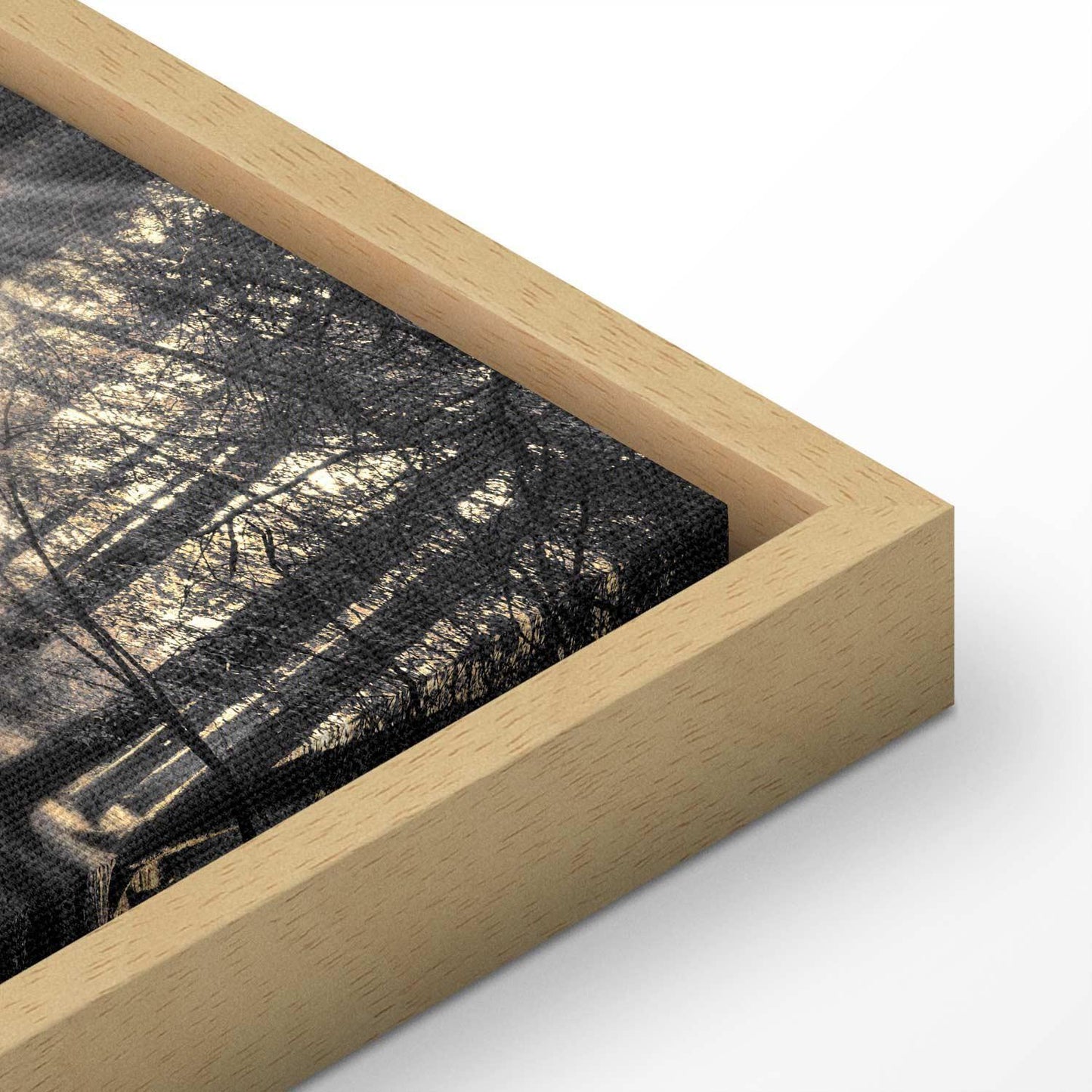 Leinwandbild - Forest Sun