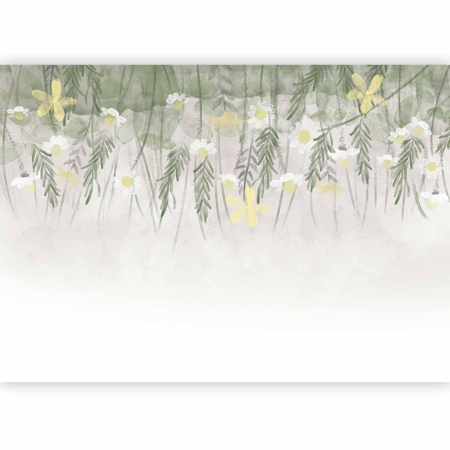 Fototapete - Home herbarium - subtle floral motif with flowers in watercolour style Artgeist