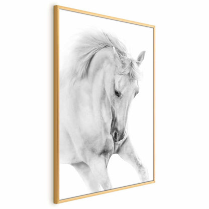Poster - White Horse Artgeist