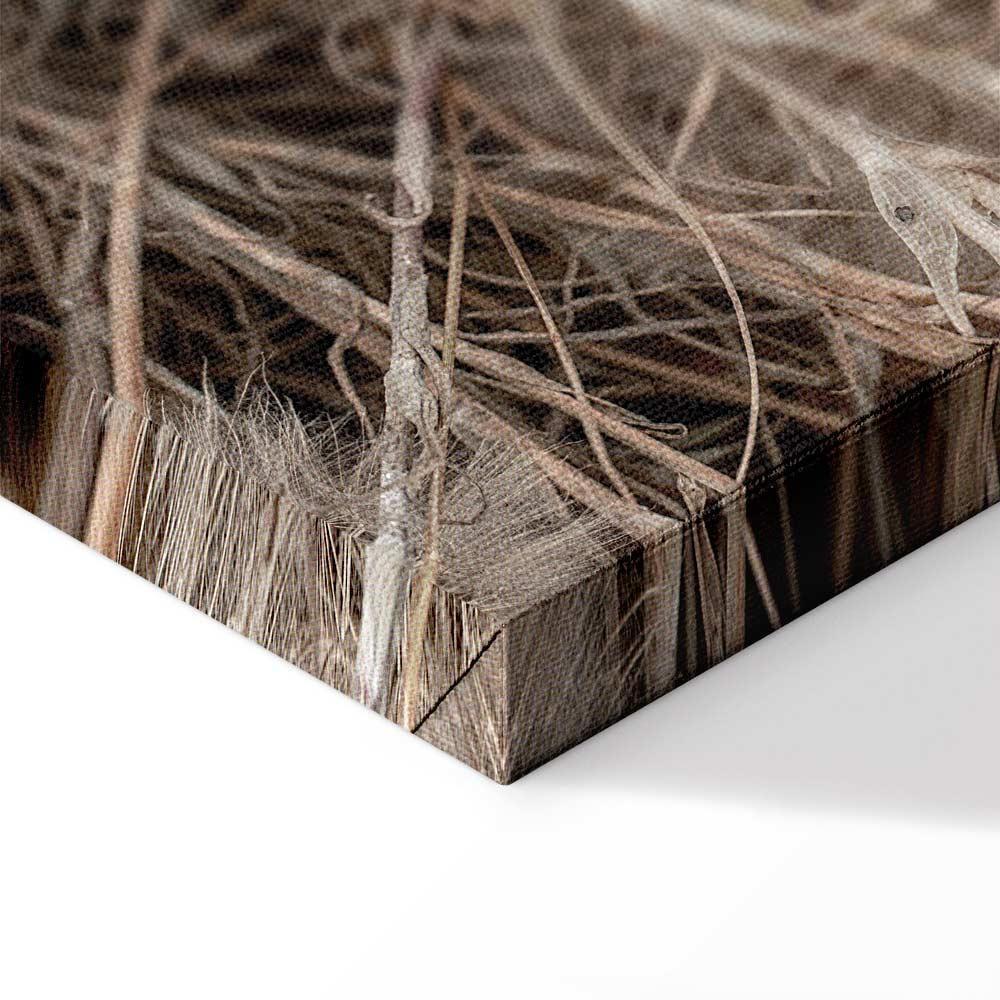 Leinwandbild - Delicate Bunch (1 Part) Vertical