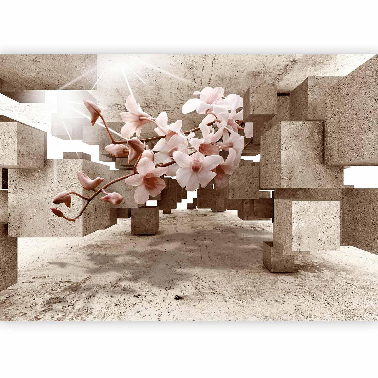 Fototapete - Little Miracles